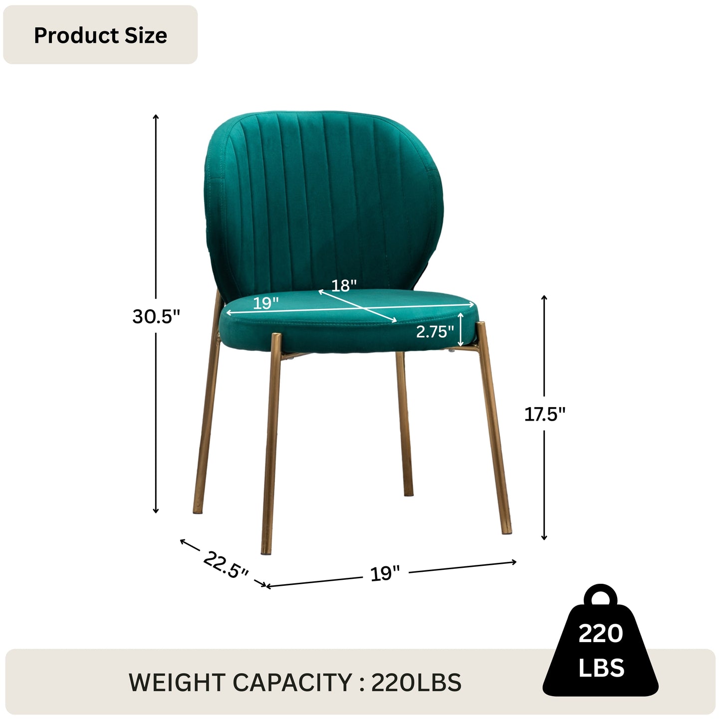 Amoa Contemporary Velvet Upholstery Dining Chair, Green