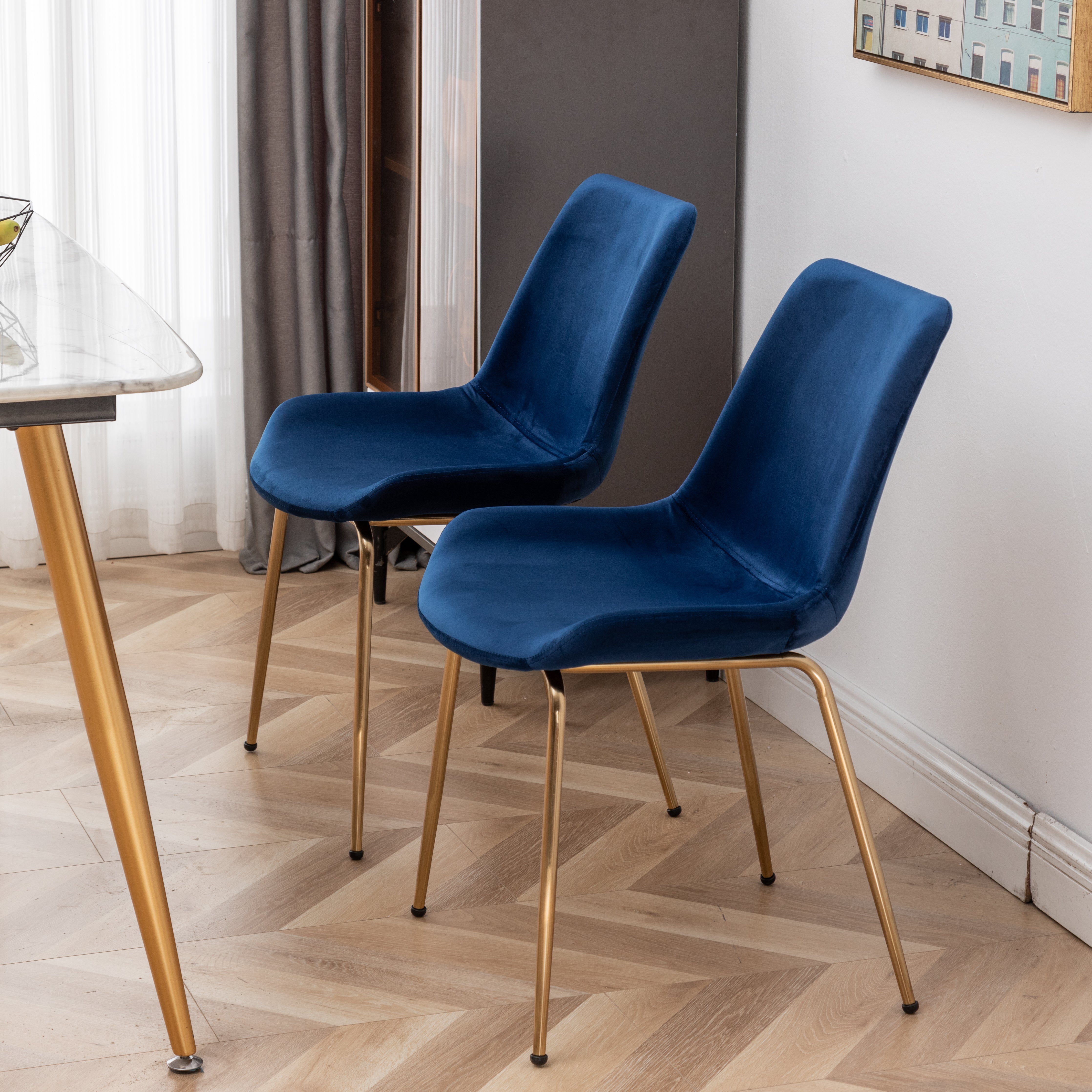 Roundhill Furniture Aufurr Modern Velvet Dining Chair Set of 2 Blue