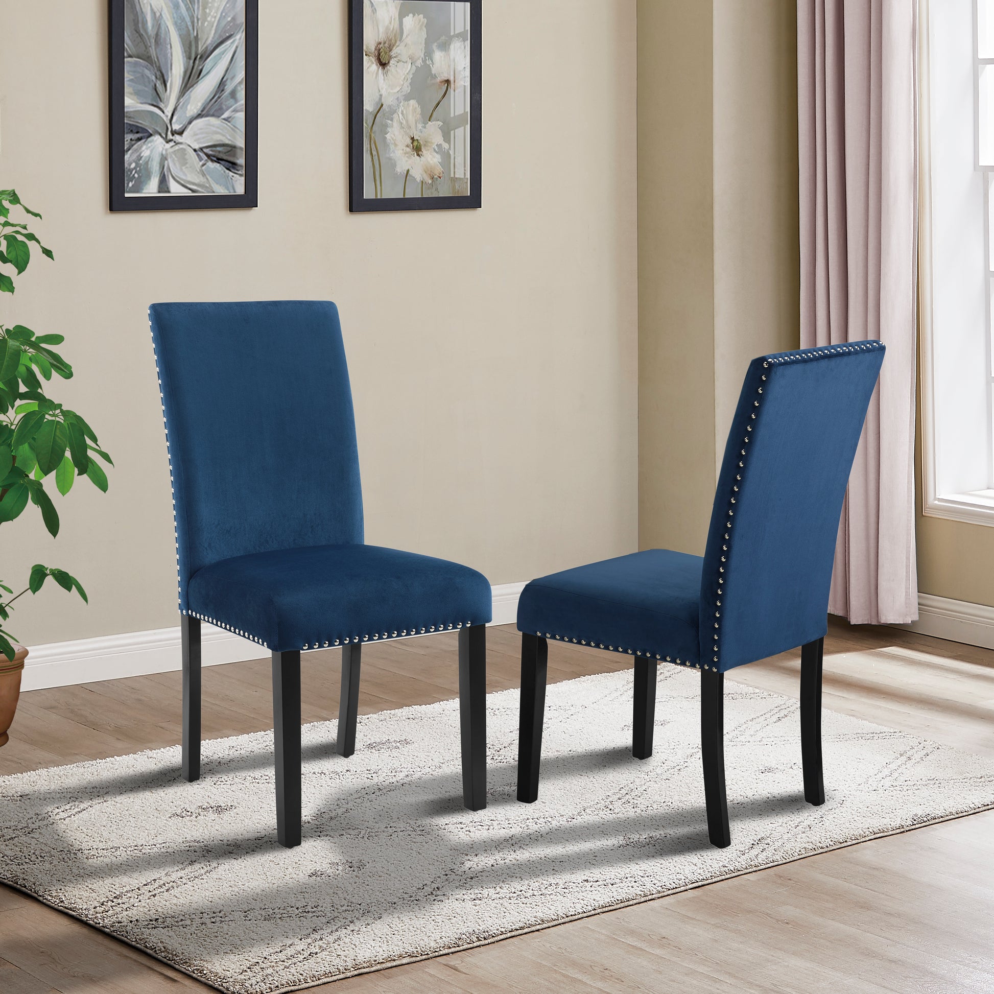 Cobre Contemporary Velvet Dining Chair with Nailhead Trim, Set of